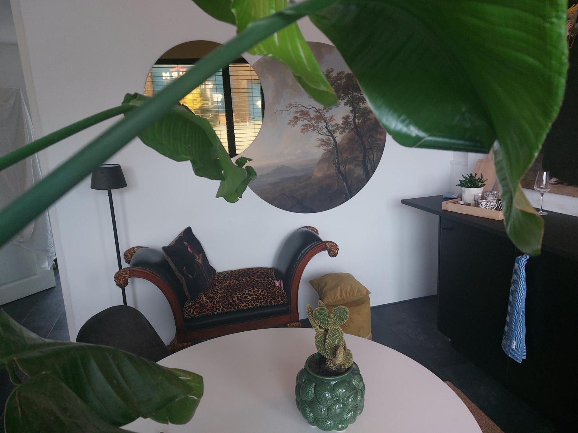 rembrandtsbeachsuite Zandvoort Extérieur photo
